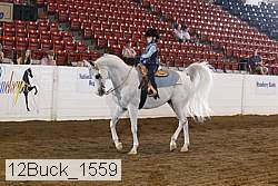 12buck_1559 proof