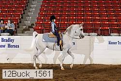12buck_1561 proof