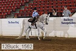 12buck_1562 proof
