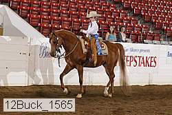 12buck_1565 proof