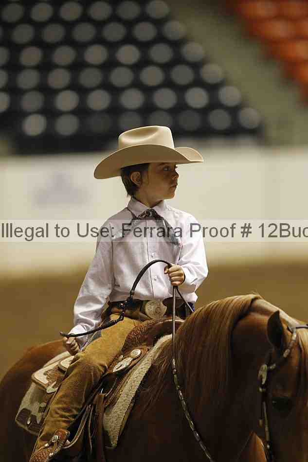 Proof 12buck_1568