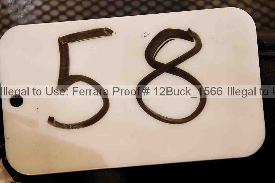 Proof 12buck_1566