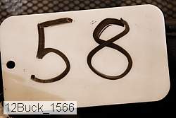 12buck_1566 proof