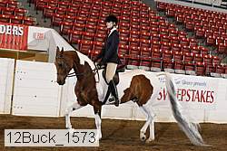 12buck_1573 proof