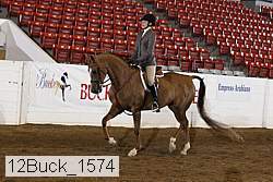 12buck_1574 proof