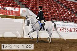 12buck_1583 proof