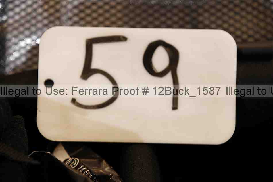 Proof 12buck_1587