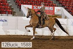 12buck_1588 proof