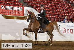 12buck_1589 proof