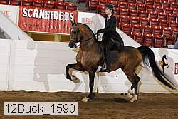 12buck_1590 proof