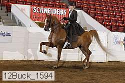 12buck_1594 proof
