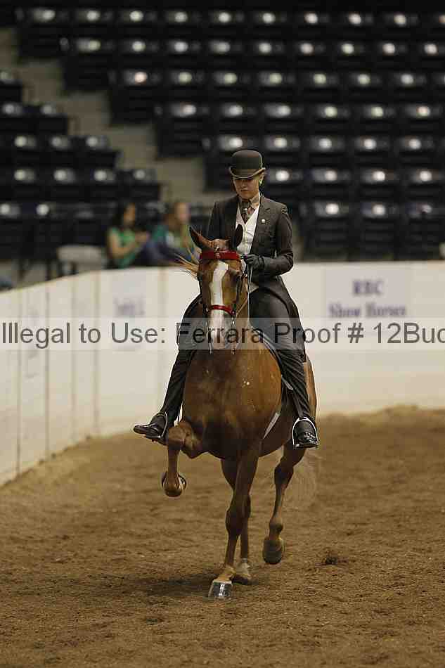 Proof 12buck_1595