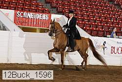 12buck_1596 proof