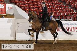 12buck_1599 proof