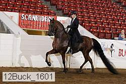 12buck_1601 proof