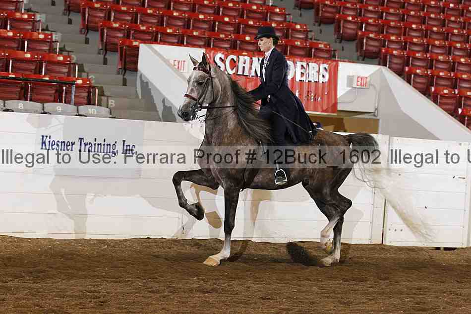 Proof 12buck_1602