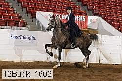 12buck_1602 proof