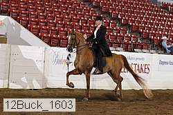 12buck_1603 proof