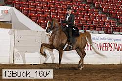 12buck_1604 proof