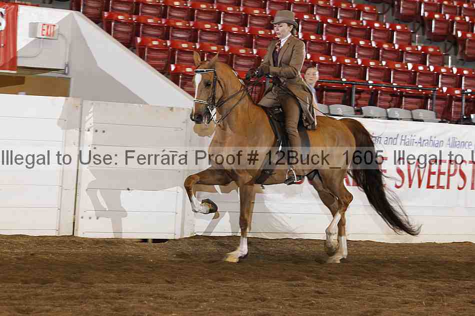 Proof 12buck_1605