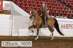 12buck_1605 proof