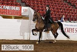 12buck_1606 proof