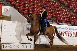 12buck_1610 proof