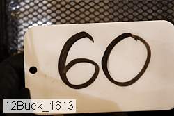 12buck_1613 proof
