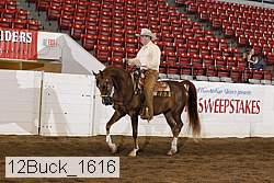 12buck_1616 proof