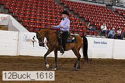 12buck_1618 proof