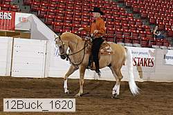 12buck_1620 proof