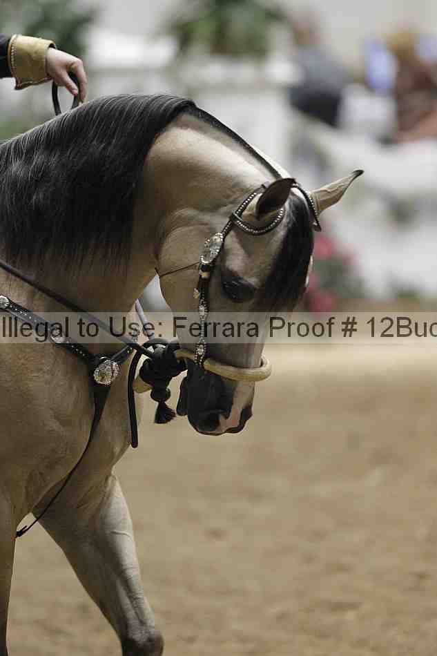 Proof 12buck_1621