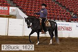 12buck_1622 proof