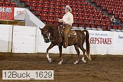 12buck_1629 proof