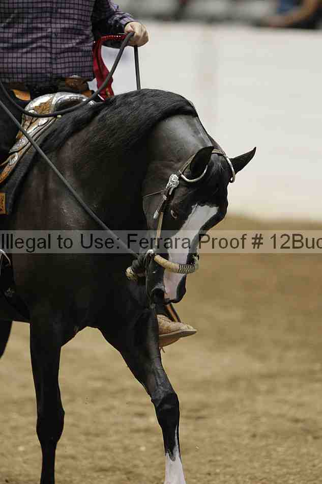 Proof 12buck_1632