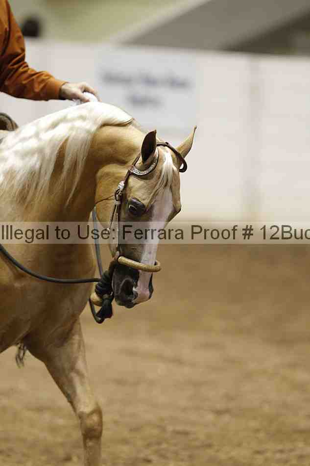 Proof 12buck_1634