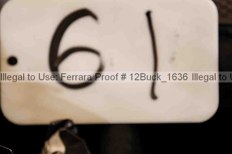 Proof 12buck_1636