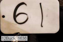 12buck_1636 proof