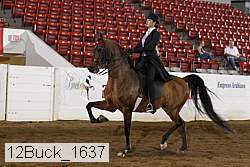 12buck_1637 proof