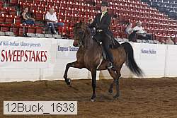 12buck_1638 proof