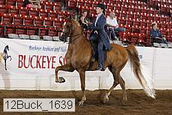 12buck_1639 proof