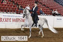 12buck_1641 proof