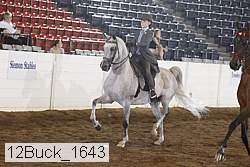 12buck_1643 proof