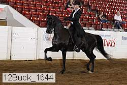 12buck_1644 proof