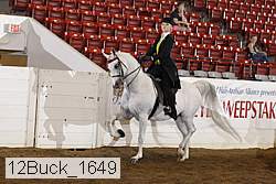 12buck_1649 proof