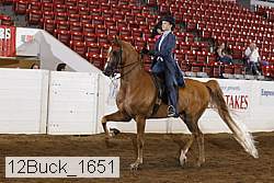 12buck_1651 proof