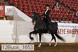 12buck_1653 proof