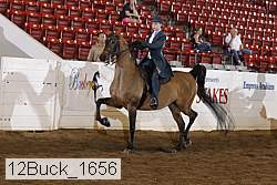 12buck_1656 proof