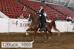 12buck_1660 proof