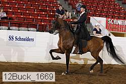 12buck_1669 proof